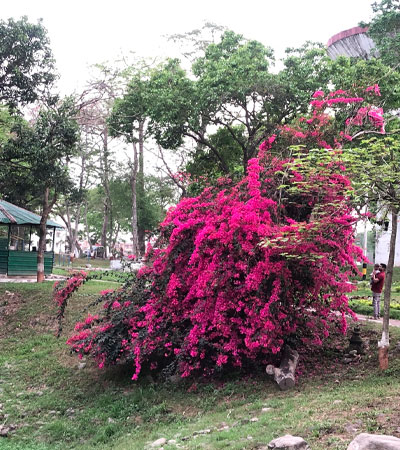 Madhuban Park